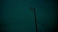 Задник до фильму"" #584935