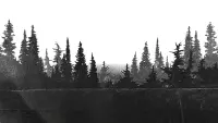Задник до фильму"" #790265