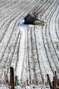 Постер до фильму"" #1080971