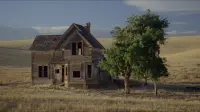 Задник до фильму"Мій власний штат Айдахо" #808512