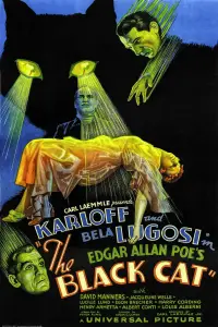 Постер до фильму"Чорний кіт" #979712