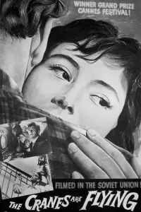Постер до фильму"Летять журавлі" #720514