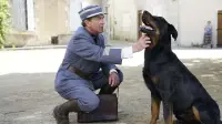Задник до фильму"" #727476