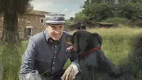 Задник до фильму"" #727489