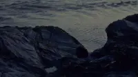 Задник до фильму"" #192924