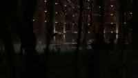 Задник до фильму"Дівчина з води" #523163