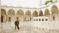 Задник до фильму"" #346303
