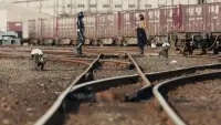 Задник до фильму"Шин Камен Райдер" #770460