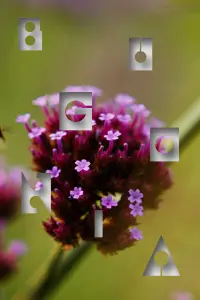 Постер до фильму"" #1052729