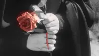 Задник до фильму"" #706325