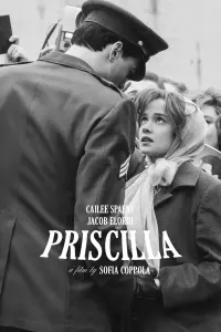 Постер до фильму"Прісцилла" #542556