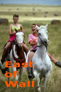 Постер до фильму"На схід від стіни" #617511