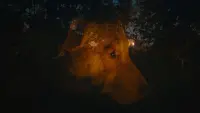 Задник до фильму"" #797158