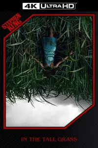 Постер до фильму"У високій траві" #989890