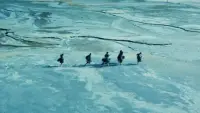 Задник до фильму"" #826997