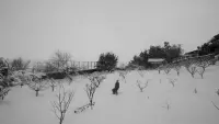 Задник до фильму"" #753649