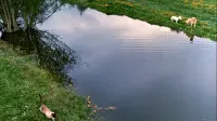 Задник до фильму"" #770997