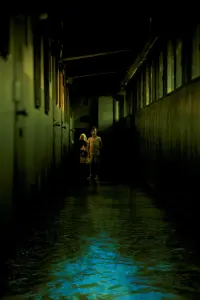 Постер до фильму"Темні води" #840113