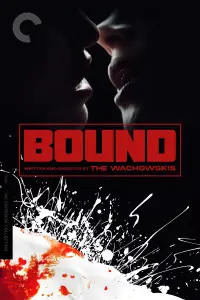 Постер до фильму"Зв