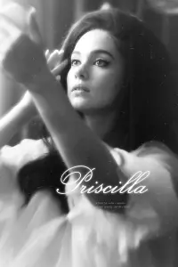 Постер до фильму"Прісцилла" #463609