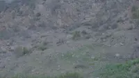 Задник до фильму"" #769272