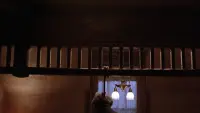 Задник до фильму"Втеча з Шоушенка" #801390