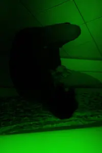 Постер до фильму"" #705874