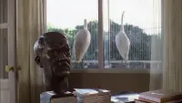 Задник до фильму"Хлопці із Бразилії" #715053