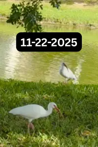 Постер до фильму"" #1156459