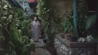 Задник до фильму"" #723213