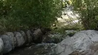 Задник до фильму"" #778358