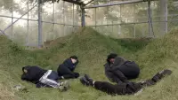 Задник до фильму"" #791211