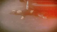 Задник до фильму"" #702042