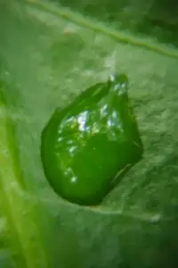 Постер до фильму"" #1116001