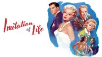 Задник до фильму"Імітація життя" #1042025