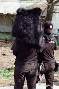 Постер до фильму"" #870288