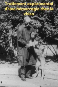 Постер до фильму"" #1197217