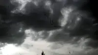 Задник до фильму"" #592494