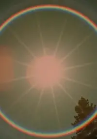 Постер до фильму"Зоряний сад" #1040880