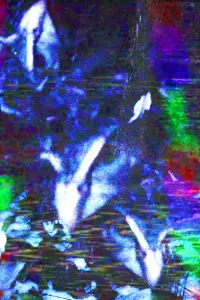 Постер до фильму"" #566155