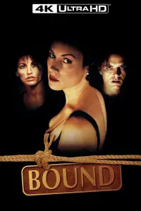 Постер до фильму"Зв