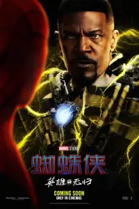 Постер до фильму"Людина-павук: Додому шляху нема" #1015715