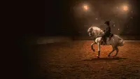 Задник до фильму"" #705526