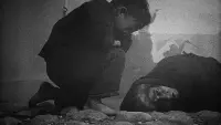 Задник до фильму"Страсті Жанни д’Арк" #726488