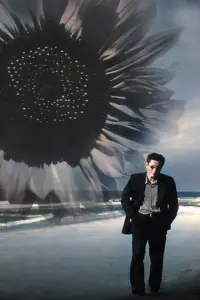 Постер до фильму"Феєрверк" #1140723