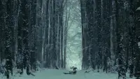 Задник до фильму"" #872178