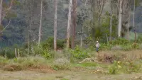Задник до фильму"" #539684