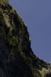 Постер до фильму"" #793076