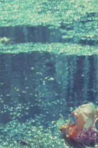 Постер до фильму"Видіння в медитації #3: Печера Платона" #1203100