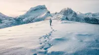 Задник до фильму"" #784597